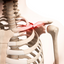 Empowering Menopausal Women: The Importance of Estrogen for Muscle Strength