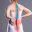 Why Asian Women Have the Highest Rates of Osteoporosis
