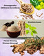 Adaptogens & Menopause: What They Are and How They Help